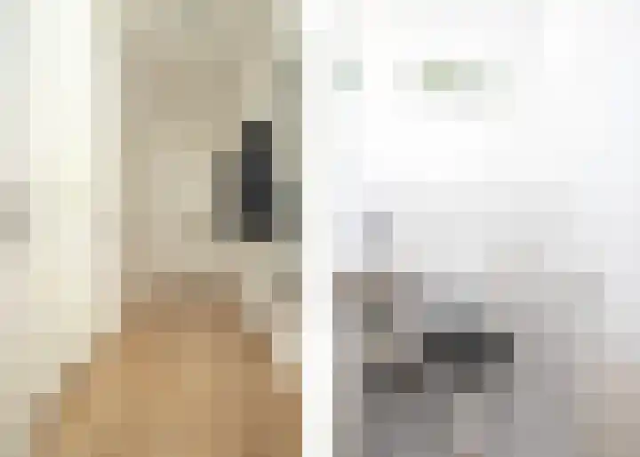 Doeveslag 62 Vollenhove thumbnail 12