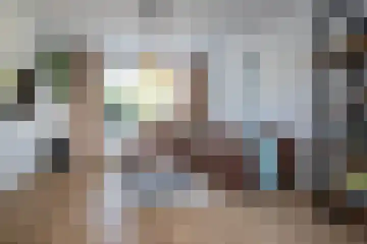 Doeveslag 62 Vollenhove thumbnail 13