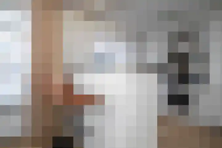 Doeveslag 62 Vollenhove thumbnail 15