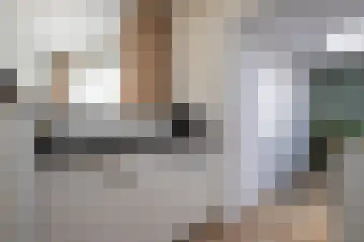 Doeveslag 62 Vollenhove thumbnail 17