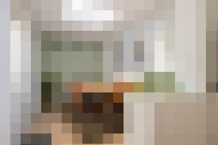 Doeveslag 62 Vollenhove thumbnail 18