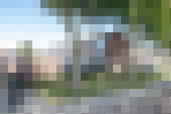 Doeveslag 62 Vollenhove thumbnail 20