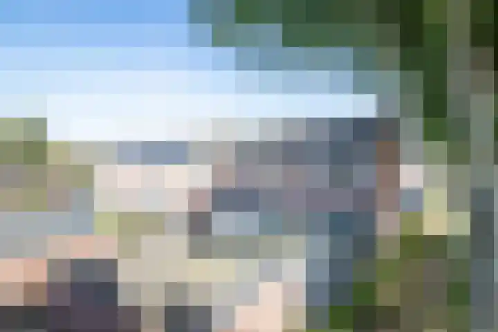 Doeveslag 62 Vollenhove thumbnail 21