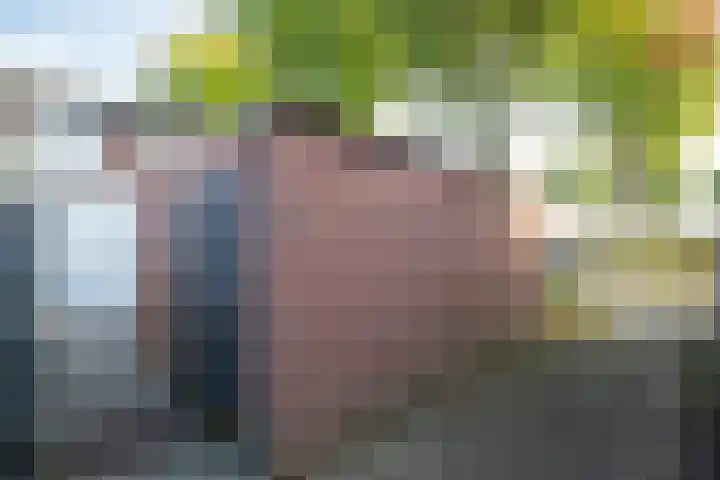 Doeveslag 62 Vollenhove thumbnail 22