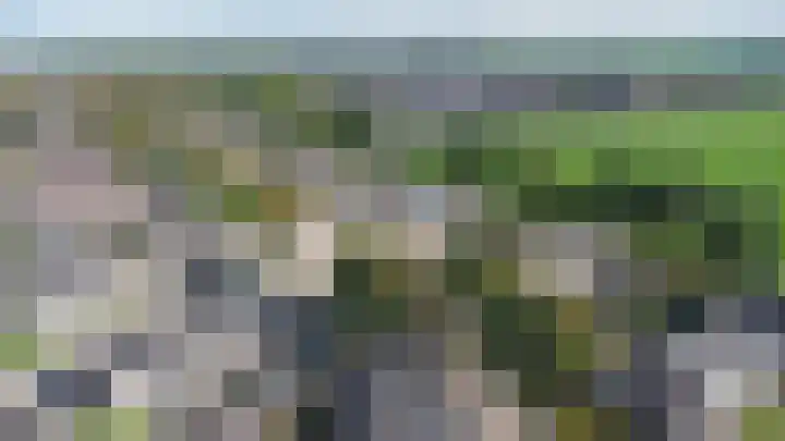 Doeveslag 62 Vollenhove thumbnail 23