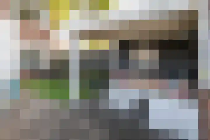 Doeveslag 62 Vollenhove thumbnail 24