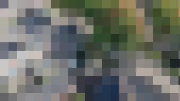 Doeveslag 62 Vollenhove thumbnail 26