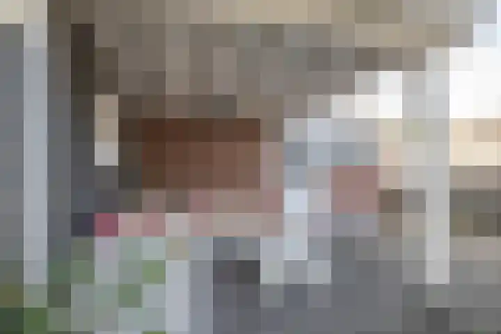 Doeveslag 62 Vollenhove thumbnail 28