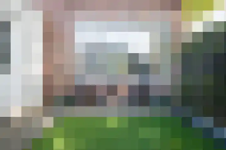 Doeveslag 62 Vollenhove thumbnail 29