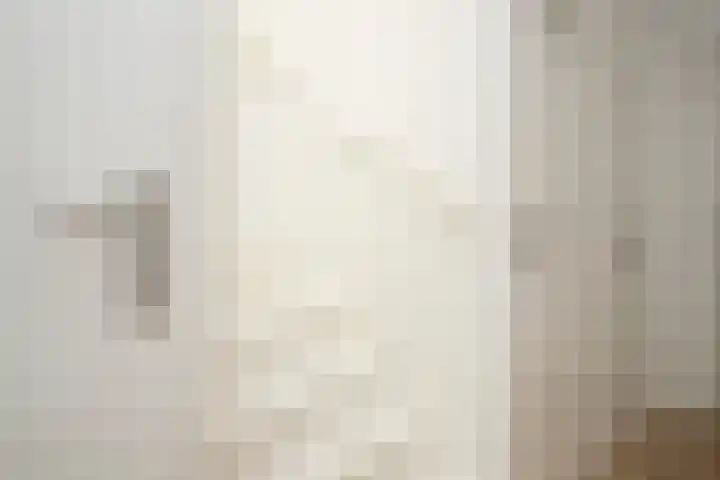 Doeveslag 62 Vollenhove thumbnail 31