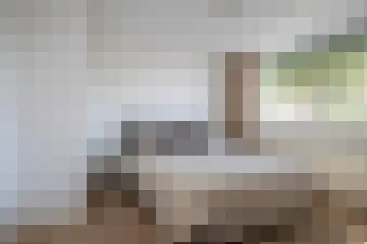 Doeveslag 62 Vollenhove thumbnail 32