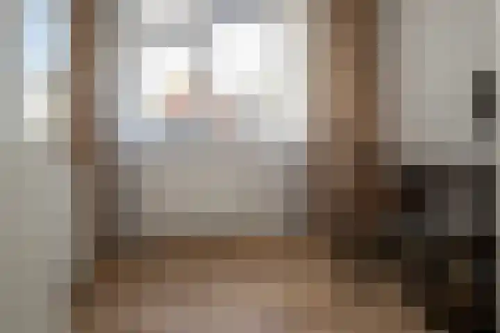 Doeveslag 62 Vollenhove thumbnail 33