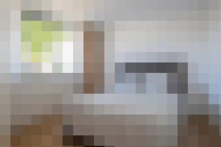 Doeveslag 62 Vollenhove thumbnail 34