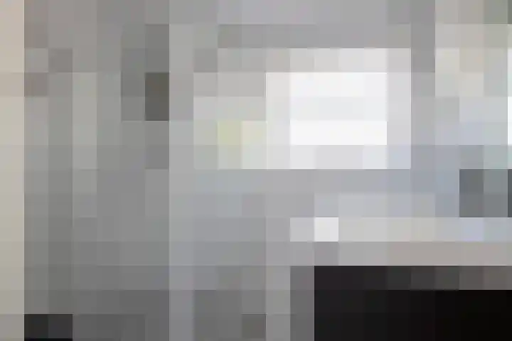 Doeveslag 62 Vollenhove thumbnail 35
