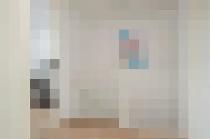 Doeveslag 62 Vollenhove thumbnail 38