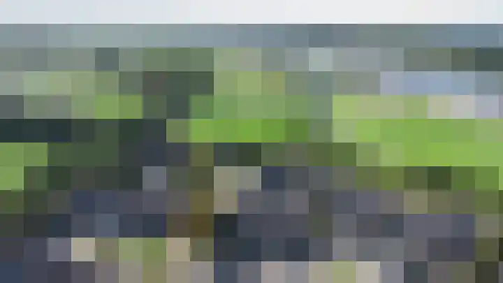 Doeveslag 62 Vollenhove thumbnail 6