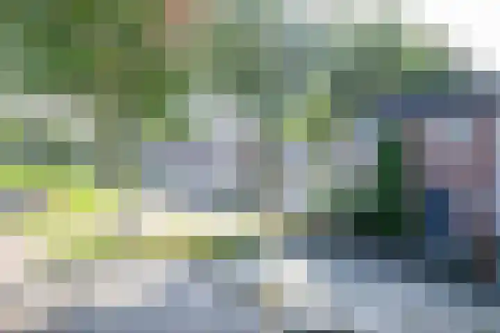 Doeveslag 62 Vollenhove thumbnail 7
