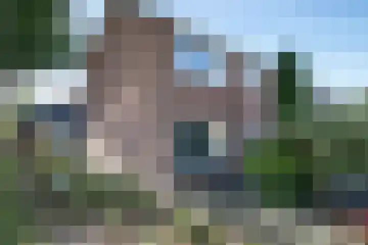 Doeveslag 62 Vollenhove thumbnail 8