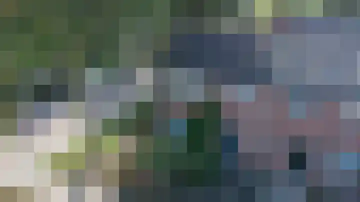 Doeveslag 62 Vollenhove thumbnail 9
