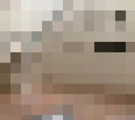 Doezastraat 1 Leiden thumbnail 6