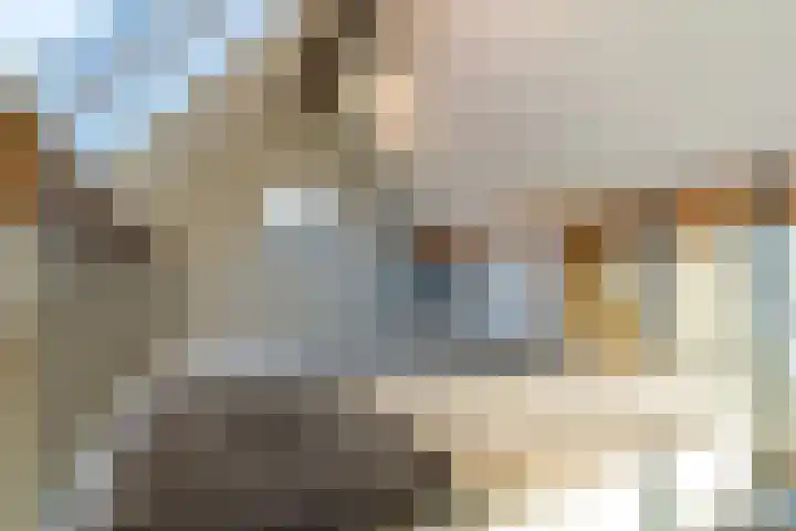 Doezastraat 10 B Leiden thumbnail 27