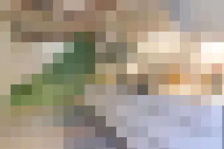 Doezastraat 10 B Leiden thumbnail 4