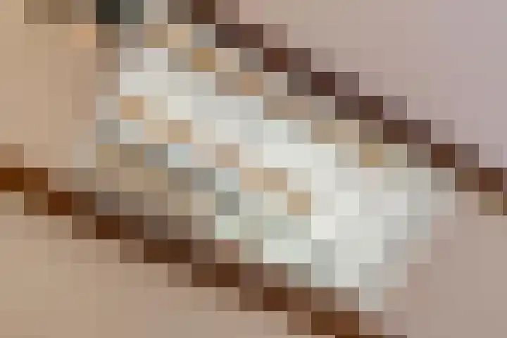Doezastraat 10 B Leiden thumbnail 5