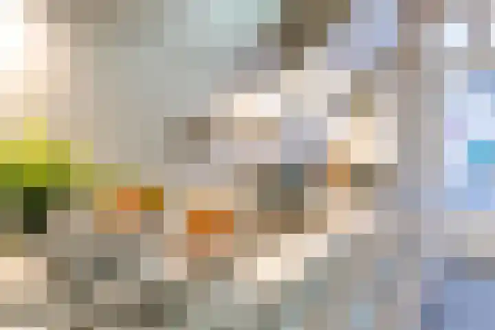 Doezastraat 10 B Leiden thumbnail 8