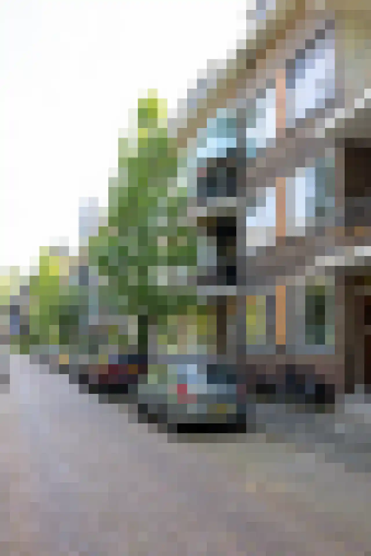 Doezastraat 14 A 01 Rotterdam thumbnail 32