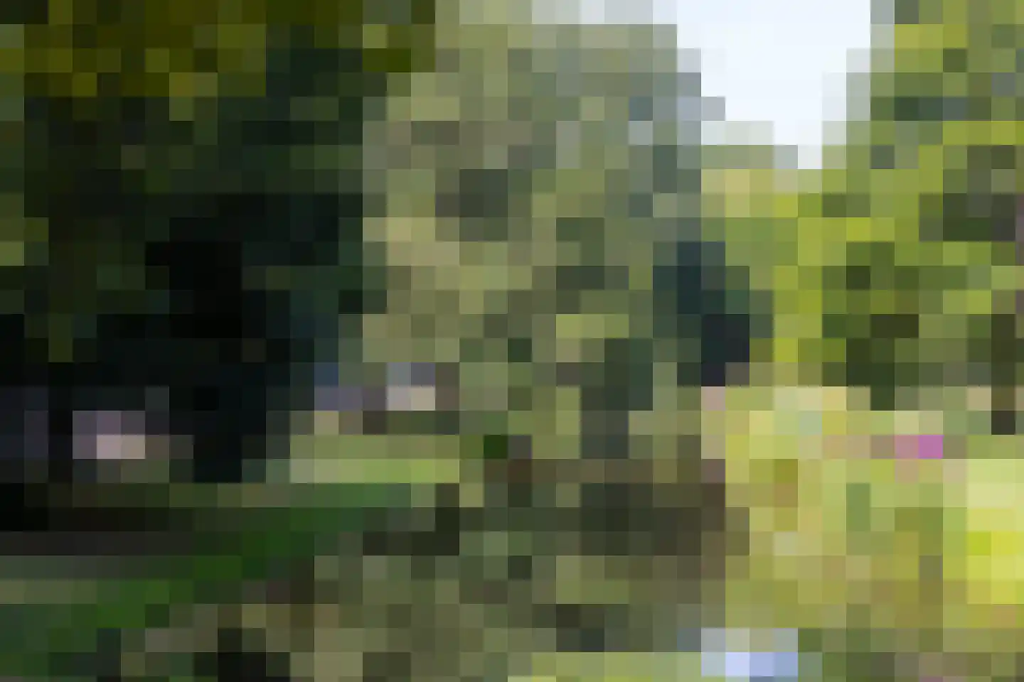 Doezastraat 14 A 01 Rotterdam thumbnail 35