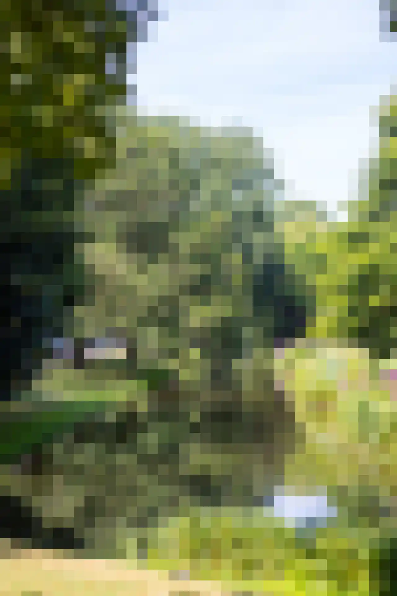 Doezastraat 14 A 01 Rotterdam thumbnail 36