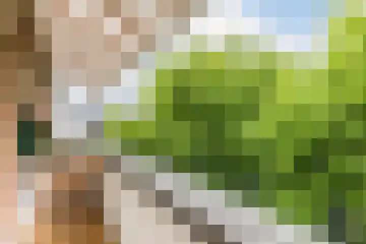 Doezastraat 15 A Rotterdam thumbnail 12