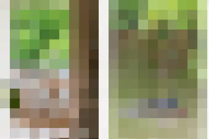 Doezastraat 15 A Rotterdam thumbnail 13