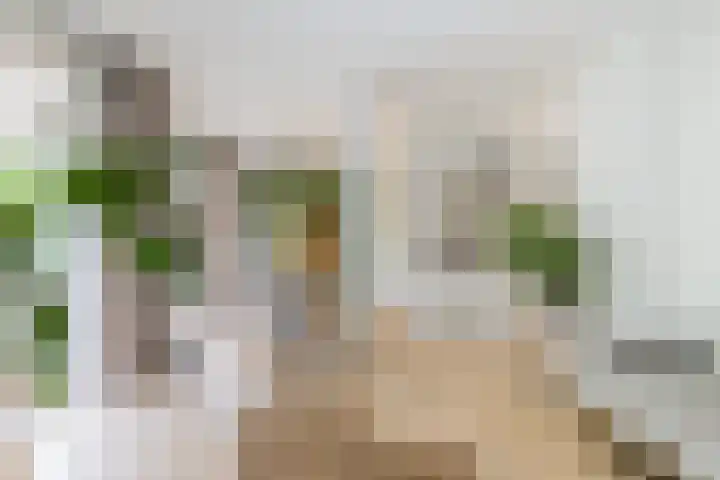 Doezastraat 15 A Rotterdam thumbnail 16