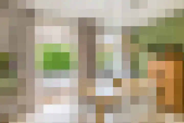 Doezastraat 15 A Rotterdam thumbnail 18