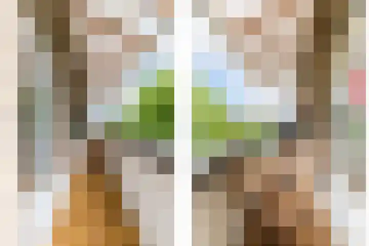 Doezastraat 15 A Rotterdam thumbnail 19
