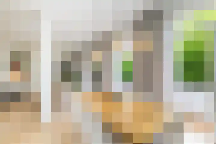 Doezastraat 15 A Rotterdam thumbnail 20