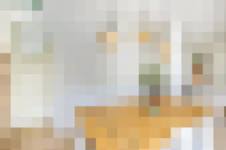 Doezastraat 15 A Rotterdam thumbnail 21