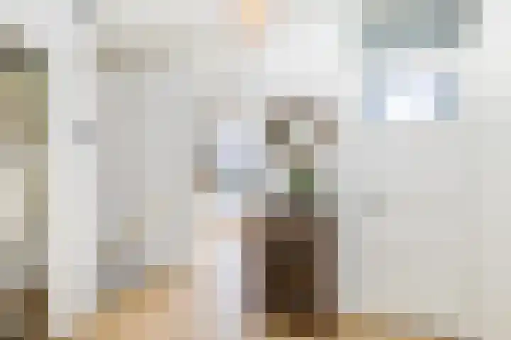 Doezastraat 15 A Rotterdam thumbnail 22
