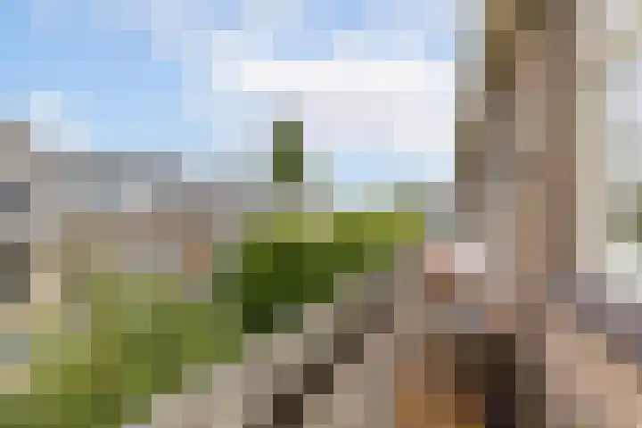 Doezastraat 15 A Rotterdam thumbnail 27