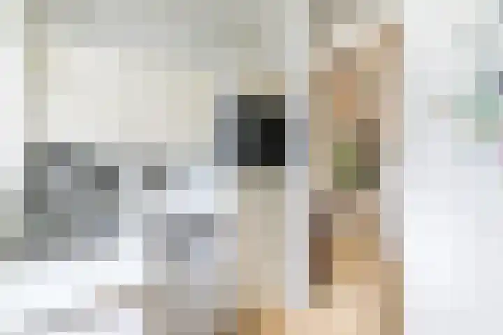 Doezastraat 15 A Rotterdam thumbnail 28