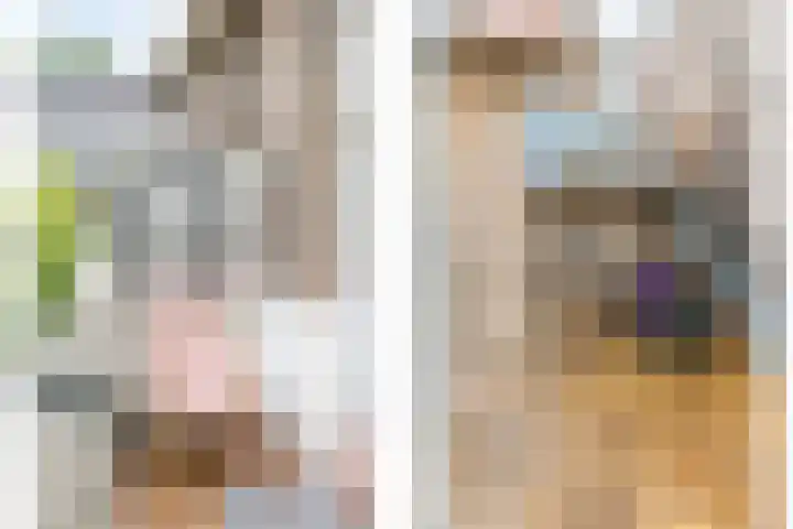 Doezastraat 15 A Rotterdam thumbnail 32