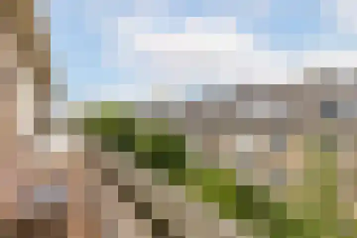Doezastraat 15 A Rotterdam thumbnail 34