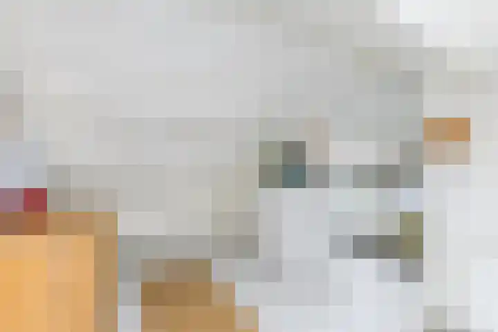 Doezastraat 15 A Rotterdam thumbnail 39