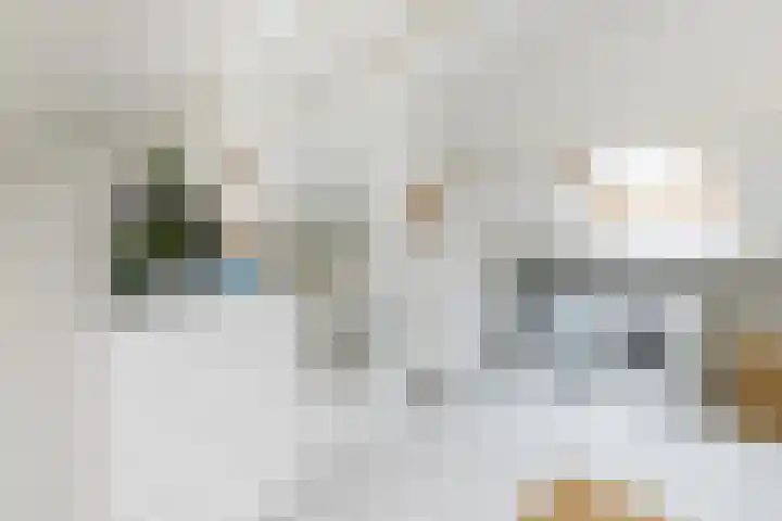 Doezastraat 15 A Rotterdam thumbnail 42
