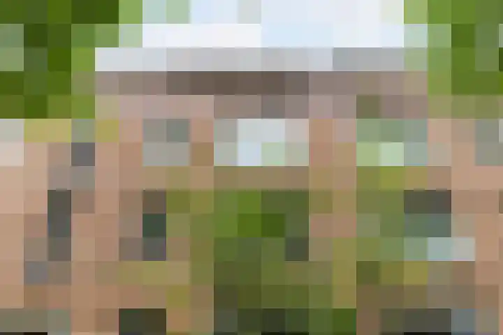 Doezastraat 15 A Rotterdam thumbnail 47