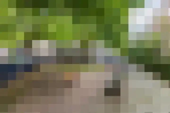 Doezastraat 15 A Rotterdam thumbnail 49
