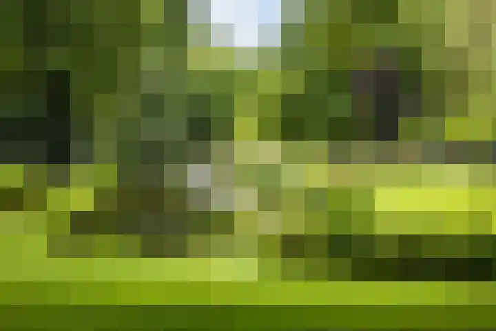Doezastraat 15 A Rotterdam thumbnail 5