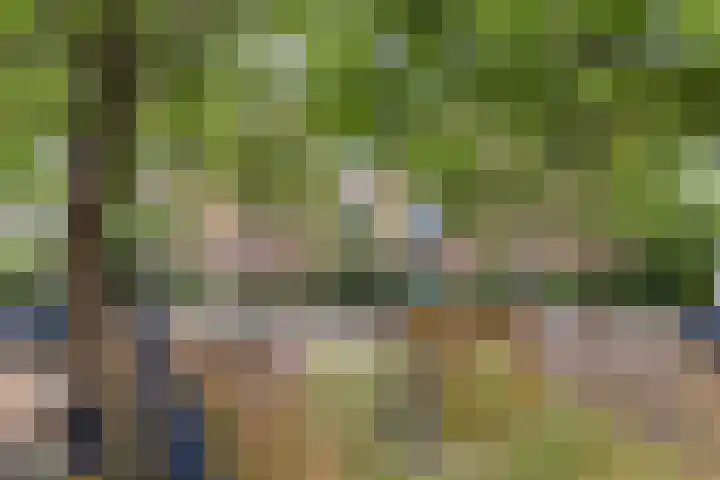 Doezastraat 15 A Rotterdam thumbnail 50