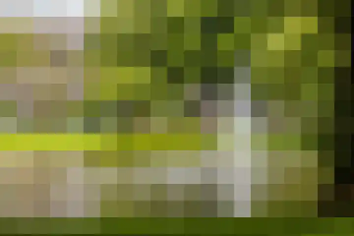 Doezastraat 15 A Rotterdam thumbnail 52